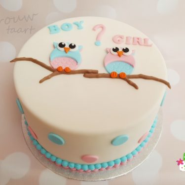 Geboorte / babyshower
