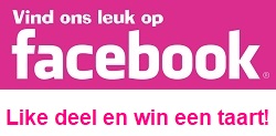 Ouder kind taart workshop