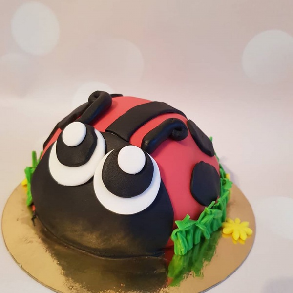 Maak je eigen boltaartje pakket - Afbeelding 6