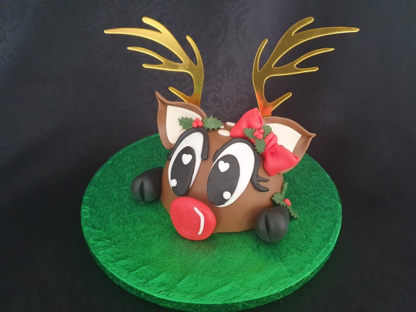 Rudolph boltaart pakket groot