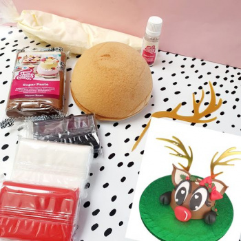 Rudolph workshop 2 go €12,99